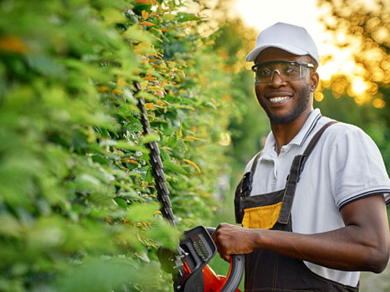 Land Scaping Services