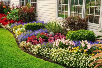 Is your lawn damaged or plants not growing properly? We offer complete garden renovation including lawn replacement, turf upgrades, flower bed redesign, and soil improvement to restore fresh appearance of your garden.