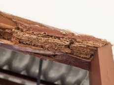 Moisture and pests weaken wooden beams. Our team treats affected areas and strengthens the beam structure.